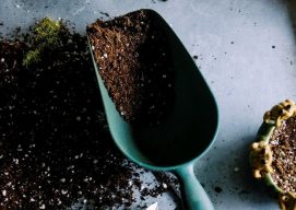 Rooftop gardens help to reduce pollution in cities