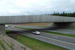 Pasos de animales por autopistas Pasos de animales por autopistas