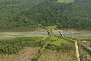 pasos naturales de fauna por autopistas pasos naturales de fauna por autopistas