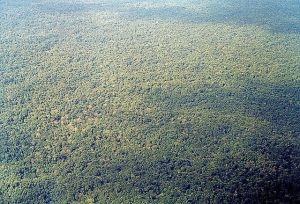 Vista aérea del tapón del Darién en el departamento de Chocó, Colombia Vista aérea del tapón del Darién en el departamento de Chocó, Colombia
