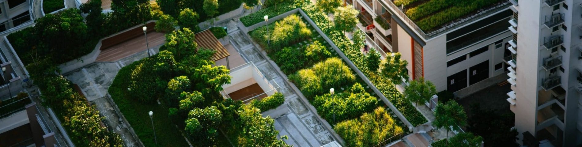 Aerial view of a green city