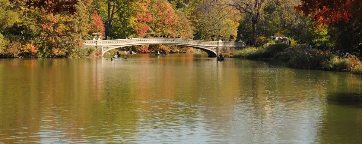 Central Park, New York