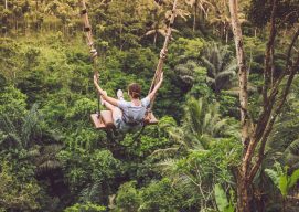 A girl swinging above a forest