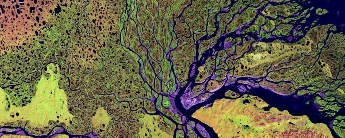 The Lena River