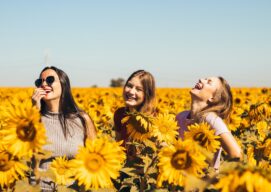 tres mujeres en un campo de girasoles