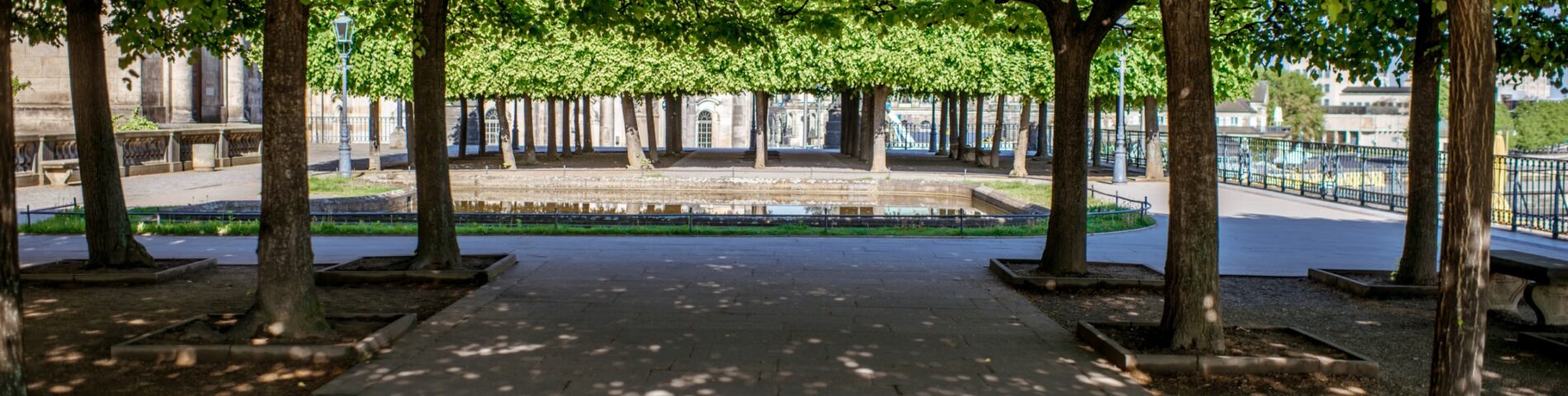 parque con sombras creando un refugio climático