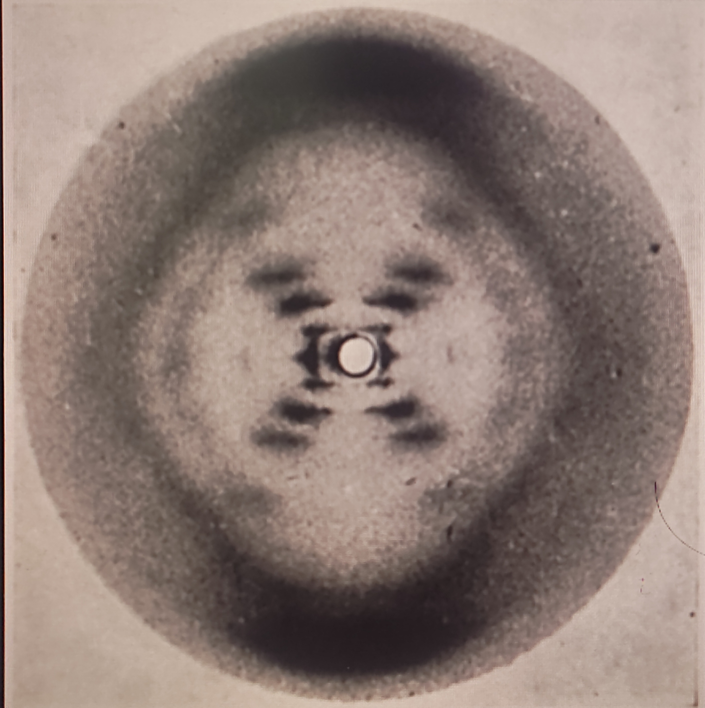 DNA helical structure