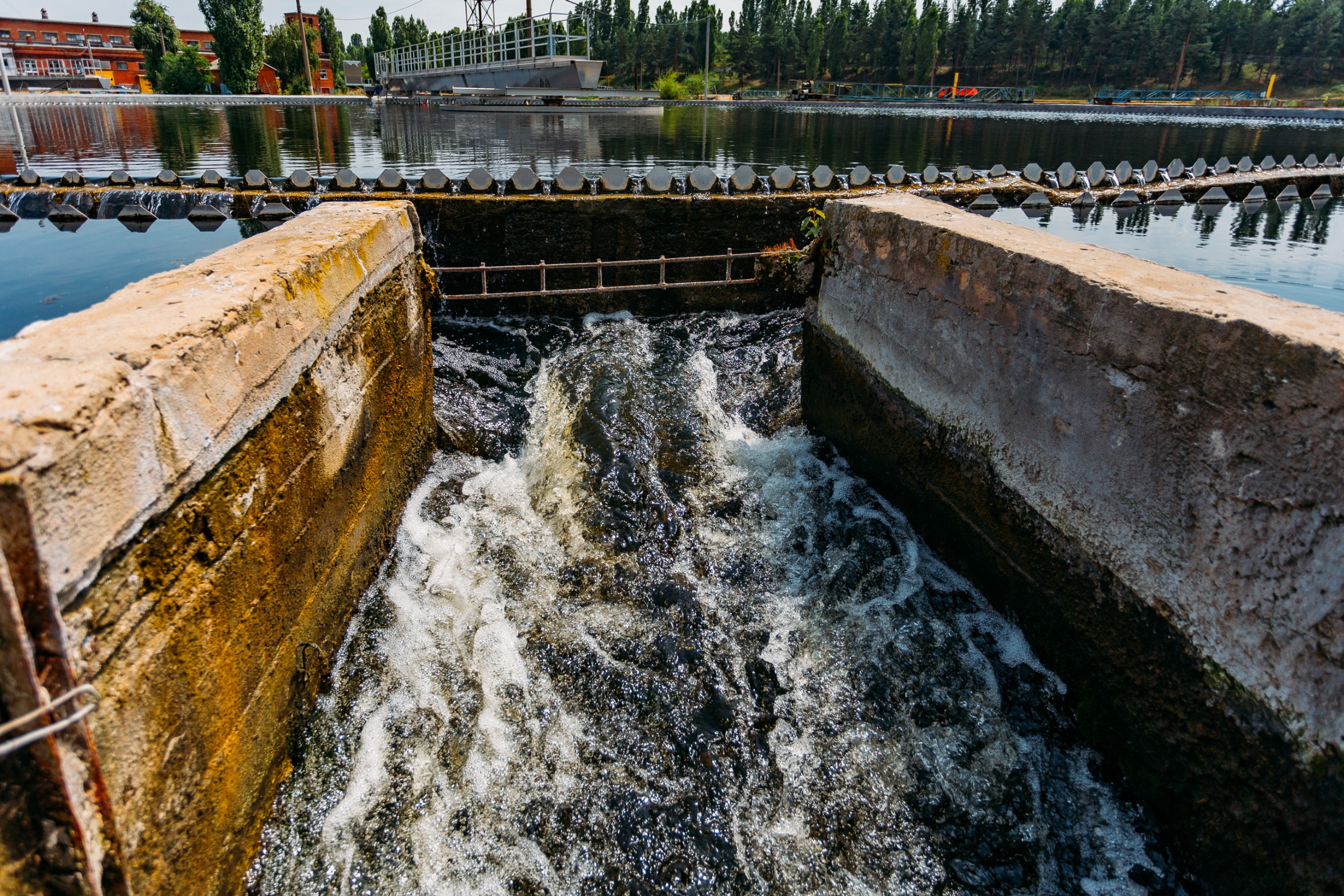 Purified water flowing from the sedimentation tank