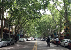 Calle de Mendoza, Argentina