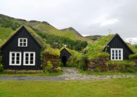 Casas con vegetación en los tejados